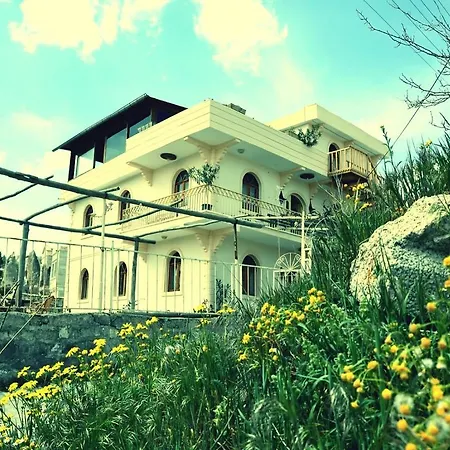 Valleypark Hostel *